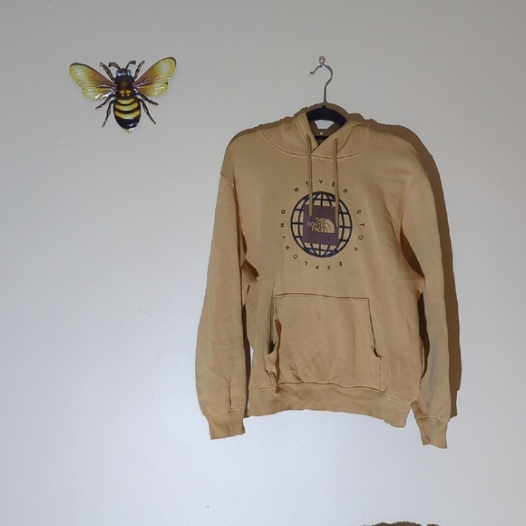 The North Face Other - The North Face Tan Hoodie with Logo